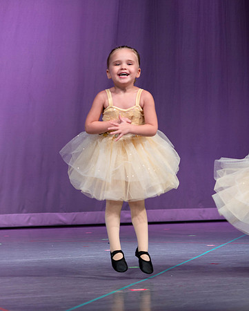 ADJ-04245