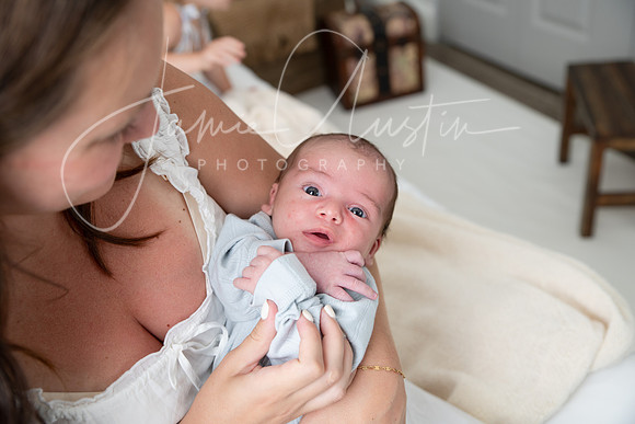 ADJ LR-8651