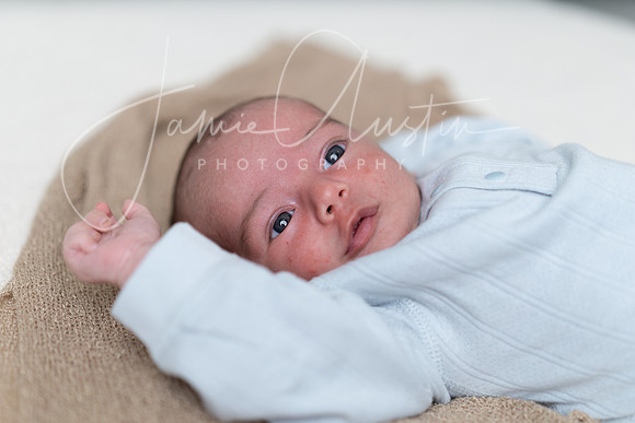 ADJ LR-02334