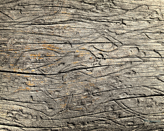 Natural Abstract