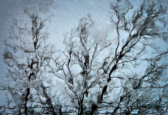 Abstract Tree Reflections