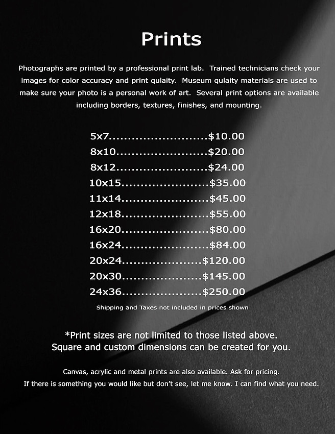 2025 Print Prices use