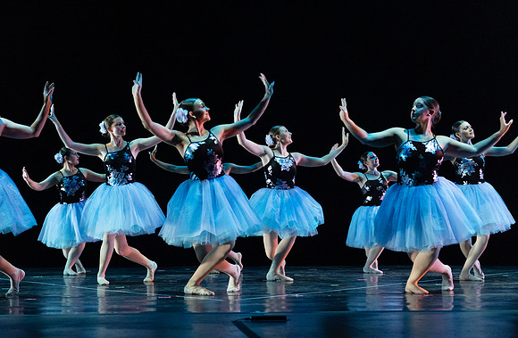 ADJ-01001